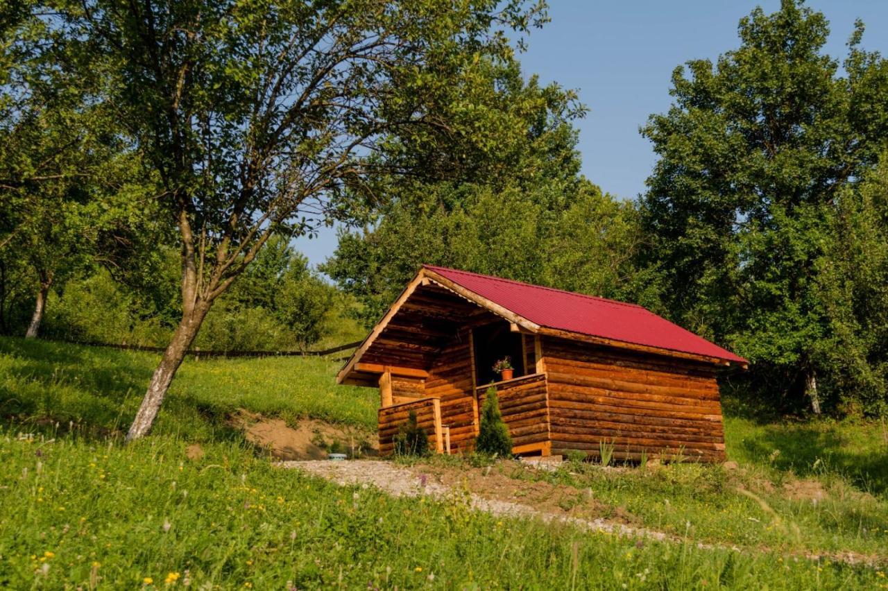 La 3 Stejari, Calimanesti Otel Salatrucel Dış mekan fotoğraf