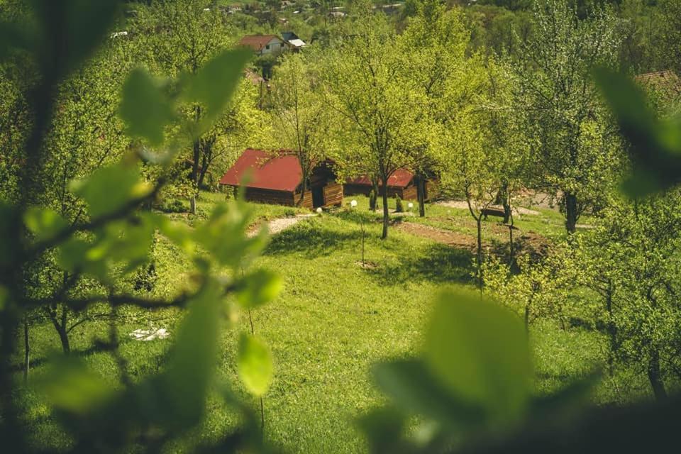 La 3 Stejari, Calimanesti Otel Salatrucel Dış mekan fotoğraf