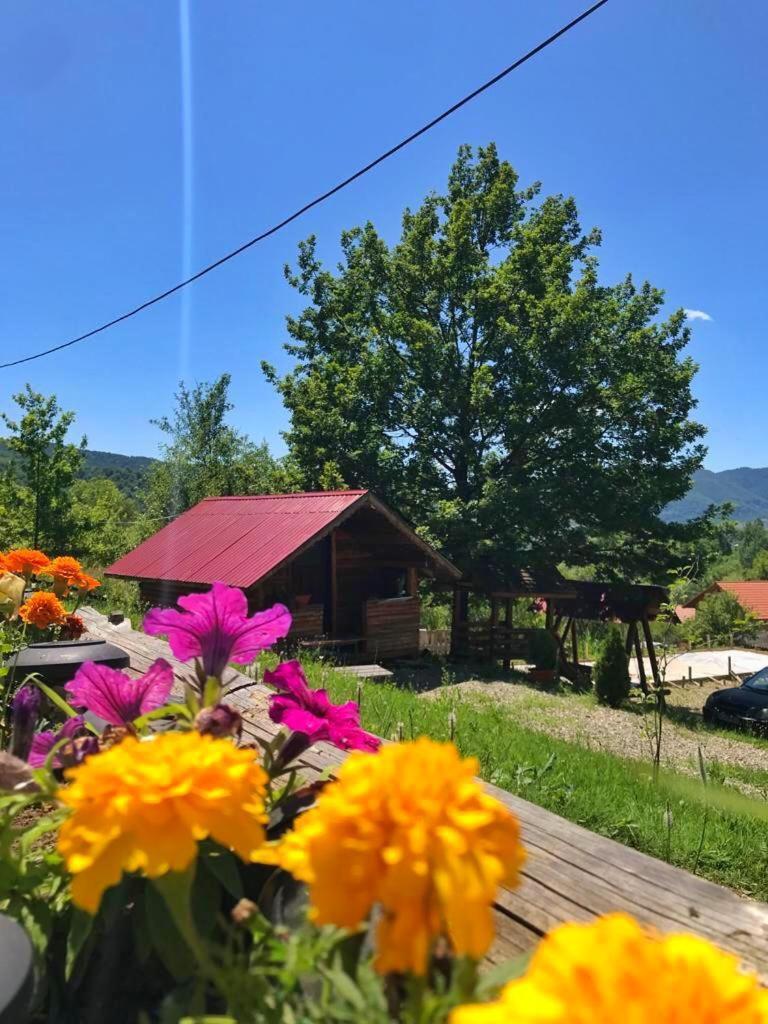 La 3 Stejari, Calimanesti Otel Salatrucel Dış mekan fotoğraf