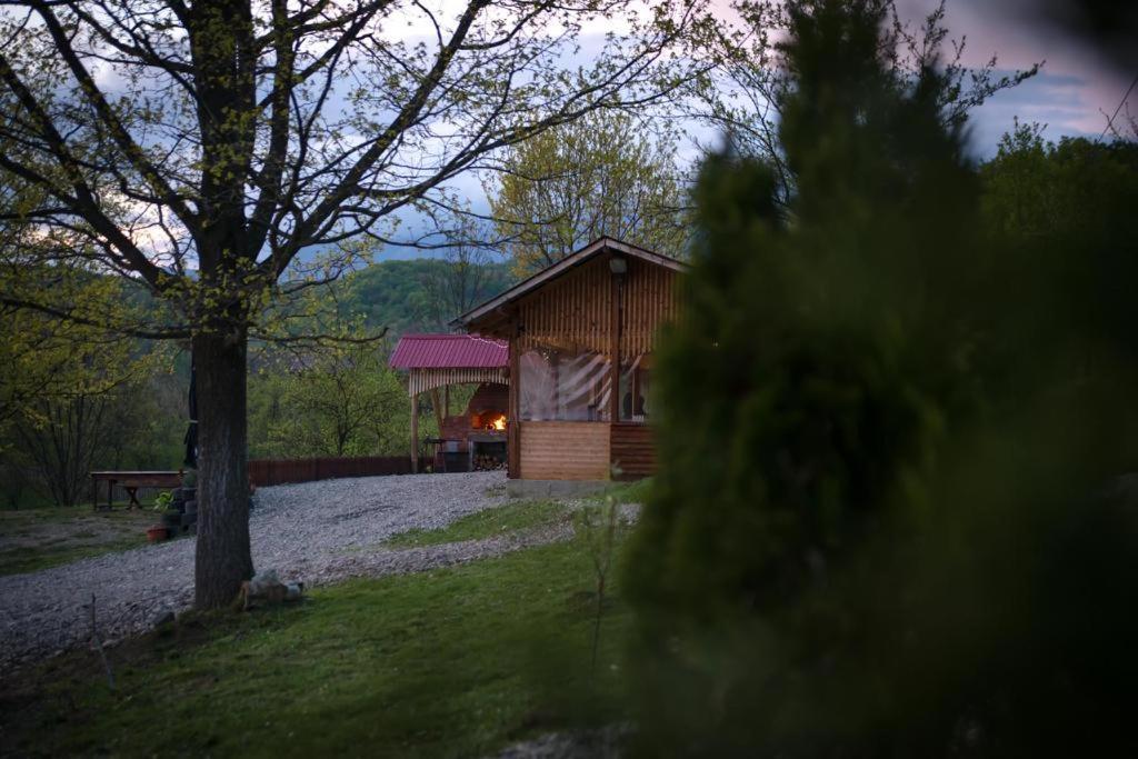 La 3 Stejari, Calimanesti Otel Salatrucel Dış mekan fotoğraf