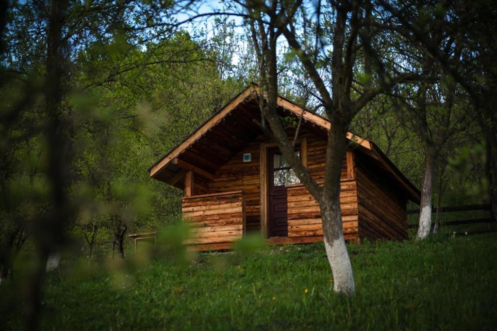 La 3 Stejari, Calimanesti Otel Salatrucel Dış mekan fotoğraf