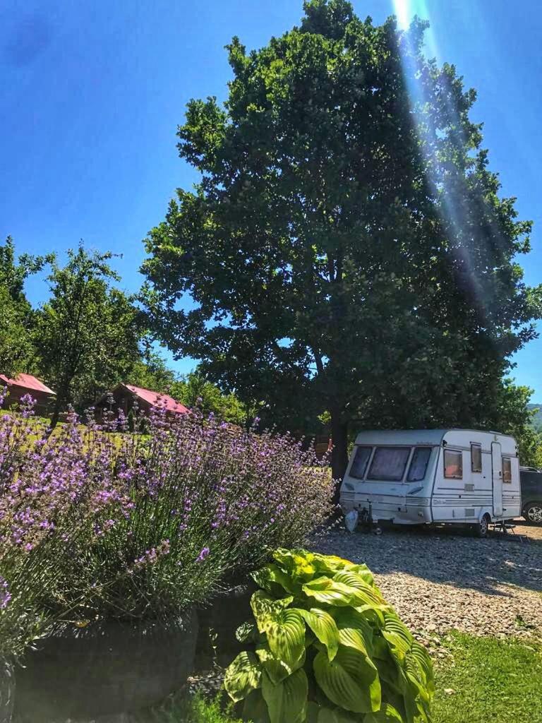 La 3 Stejari, Calimanesti Otel Salatrucel Dış mekan fotoğraf