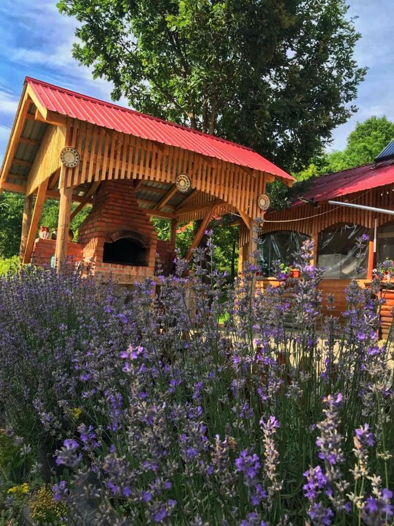 La 3 Stejari, Calimanesti Otel Salatrucel Dış mekan fotoğraf