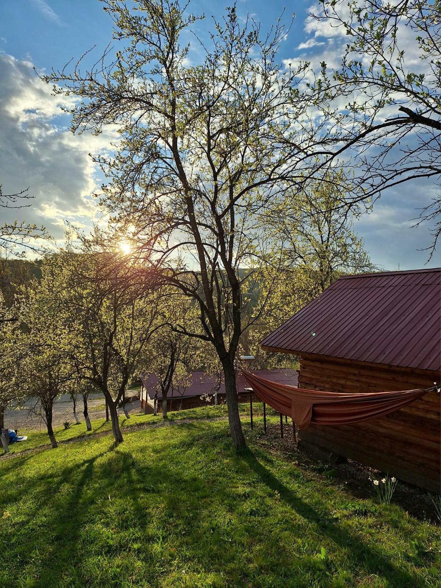 La 3 Stejari, Calimanesti Otel Salatrucel Dış mekan fotoğraf