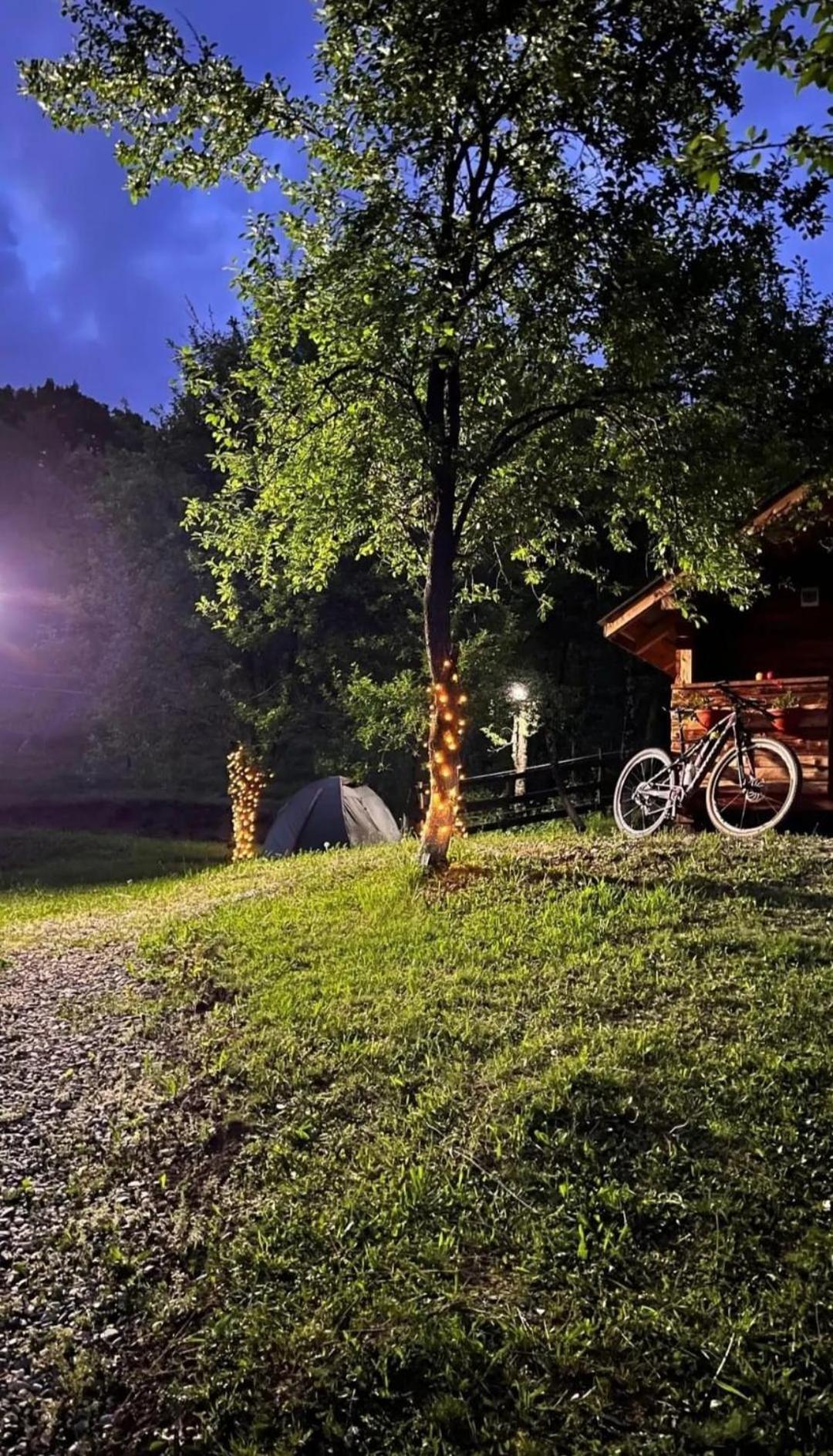 La 3 Stejari, Calimanesti Otel Salatrucel Dış mekan fotoğraf